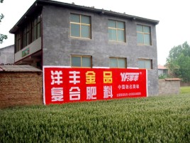 民权如何让墙体广告展现最大化效果