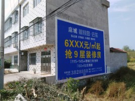 民权墙体广告质量分析