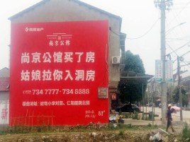 民权墙体广告在乡镇、农村市场的媒体优势